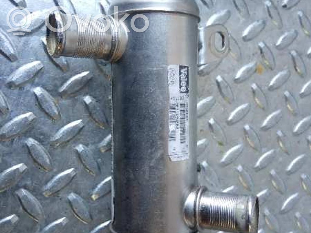 Peugeot 406 Valvola di raffreddamento EGR 