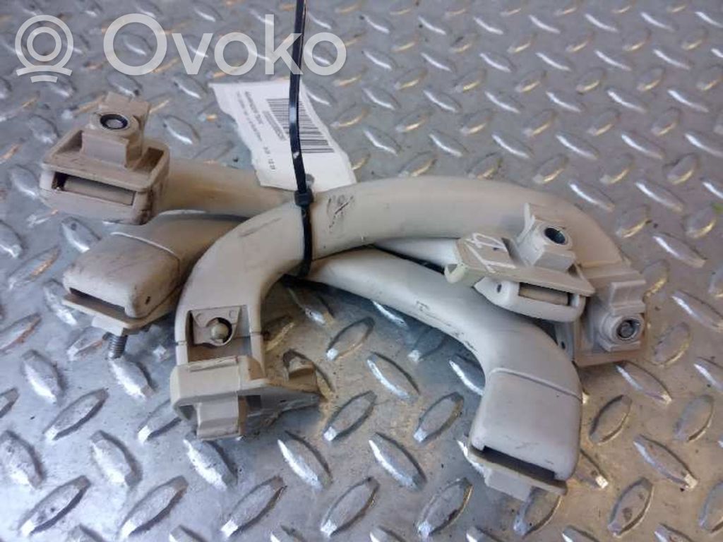 Asidero interior delantero