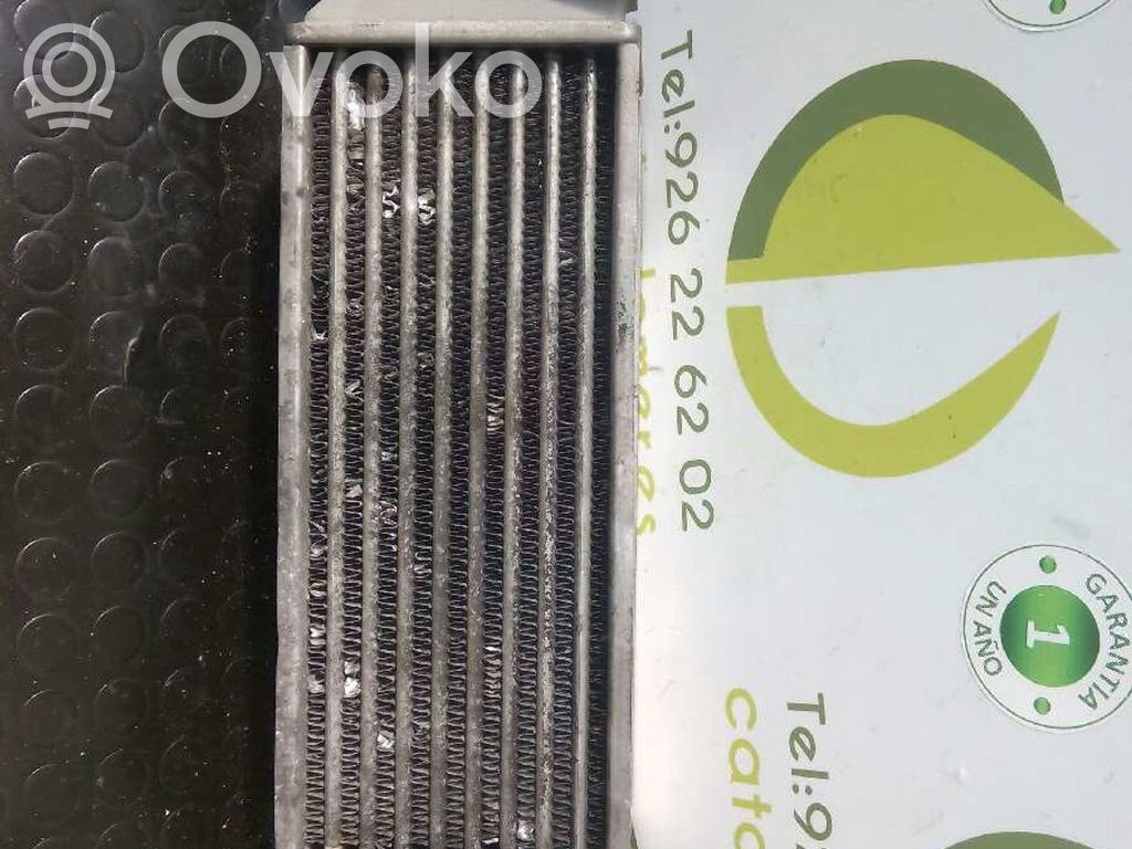 Intercooler radiator   1M5Q9L440AA