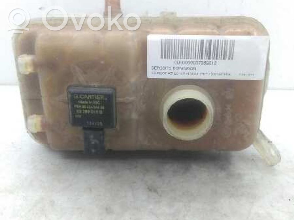 Peugeot 407 Vase d'expansion de carburant 