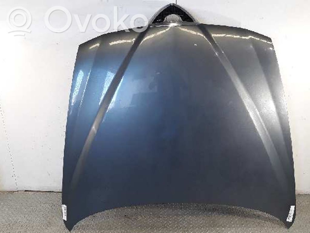 Motorhaube