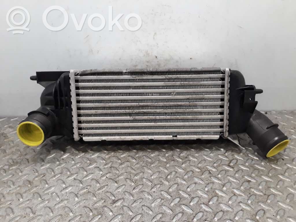 Intercooler radiator   0384G6,9645682880,874823N