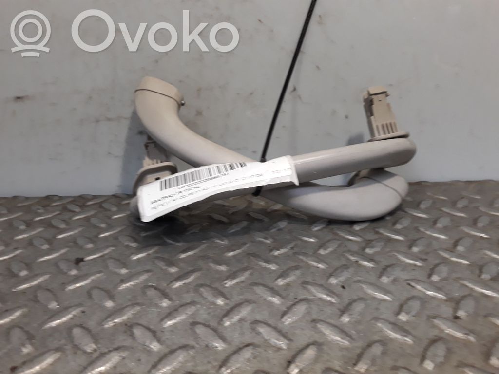 Asidero interior delantero