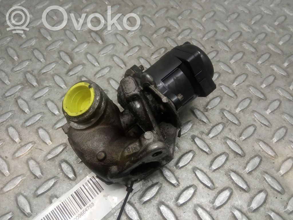 Válvula EGR   V29007306,220100552