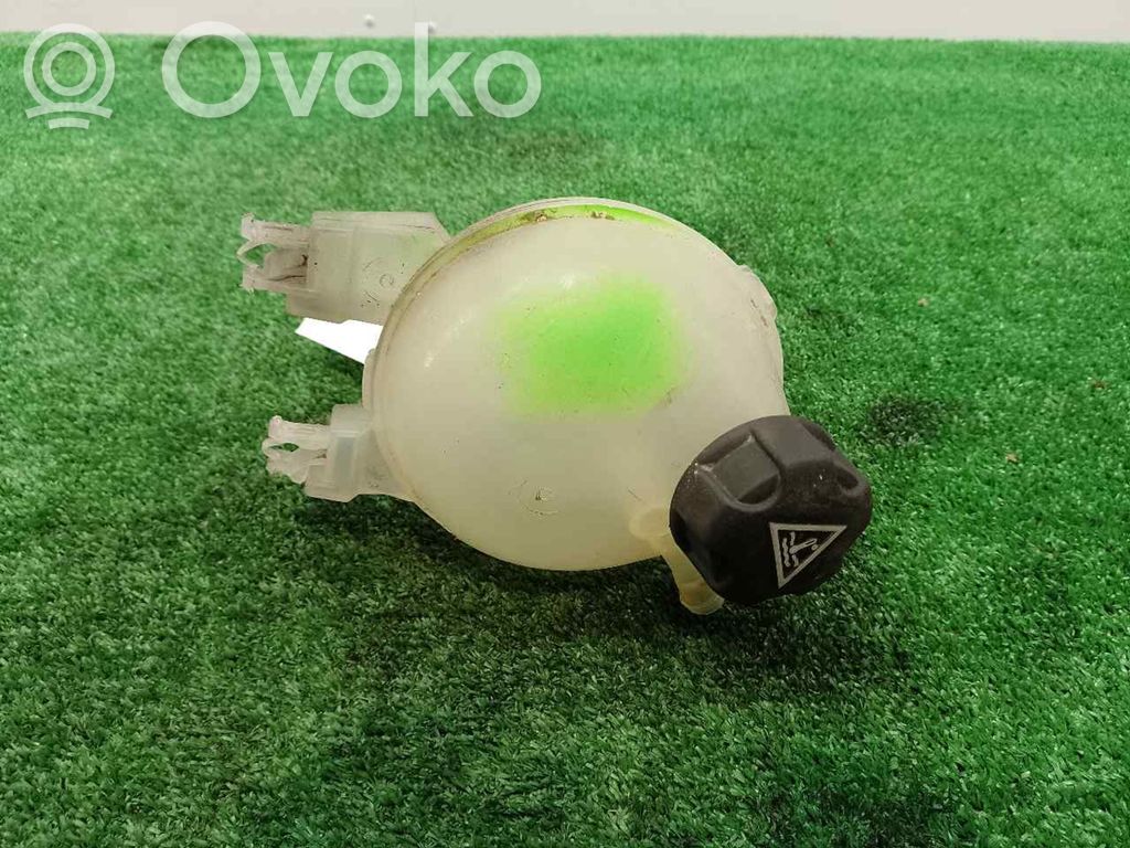 Citroen C4 Cactus Vaso di espansione carburante 