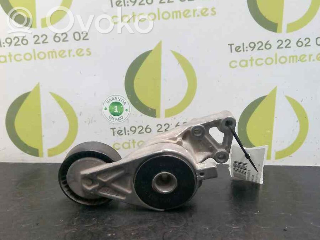 Volkswagen New Beetle Întinzător curea generator/alternator 
