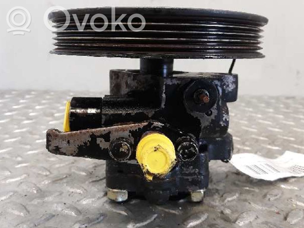 Hyundai Sonata Power steering pump 