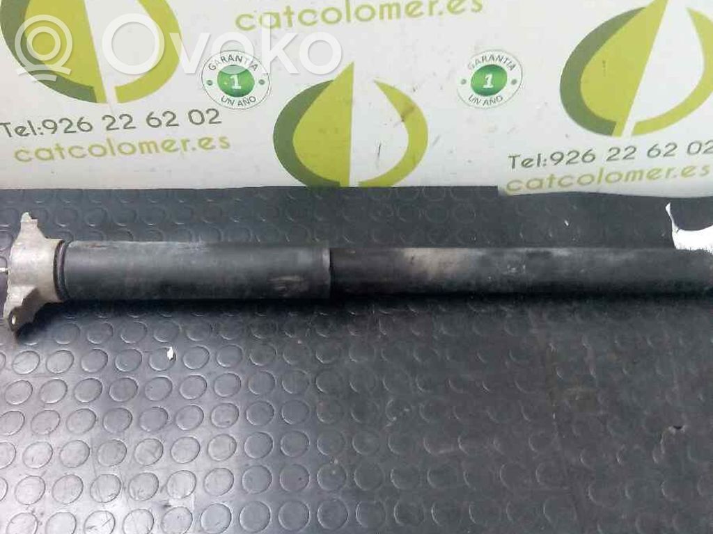 Amortizor spate   1751388