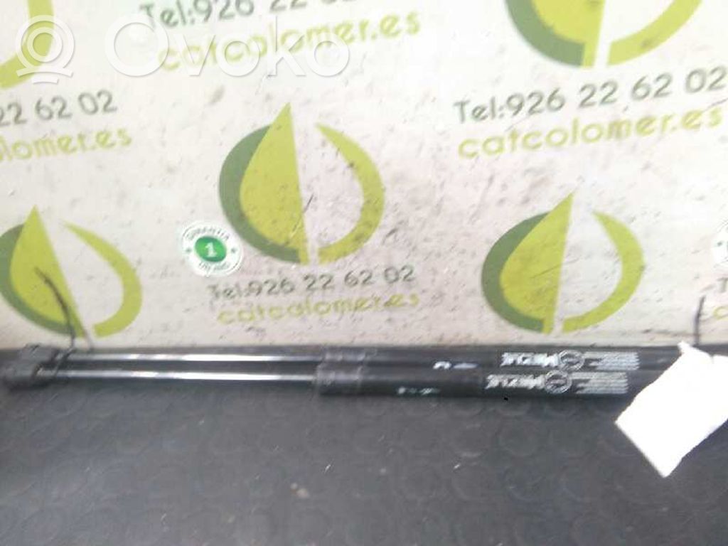 Skoda Fabia Mk2 (5J) Amortizor hayon 