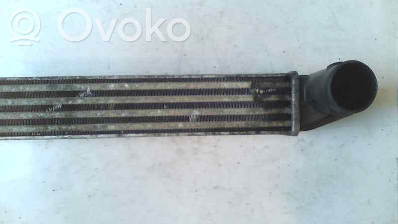 Starpdzesētāja radiators