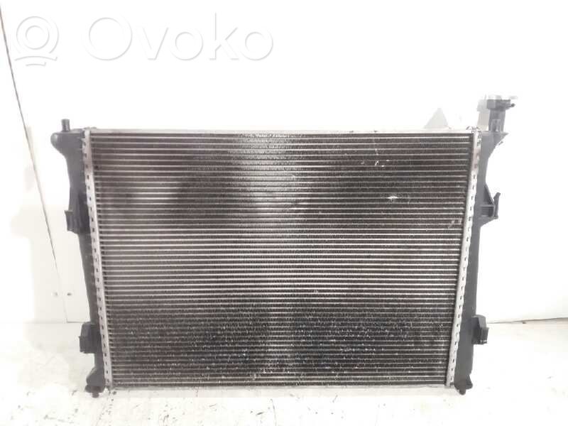 Coolant radiator   253102R000,253101H000