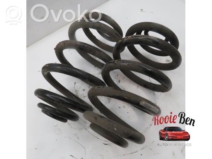 Rear coil spring