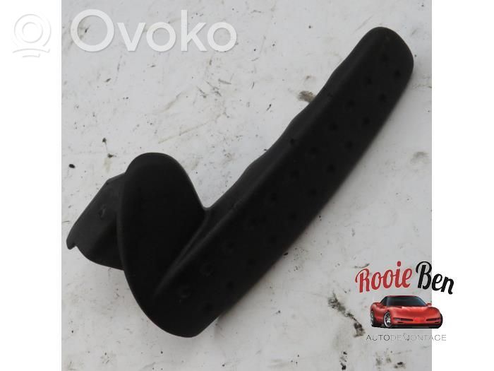 Dodge RAM Rear door exterior handle 