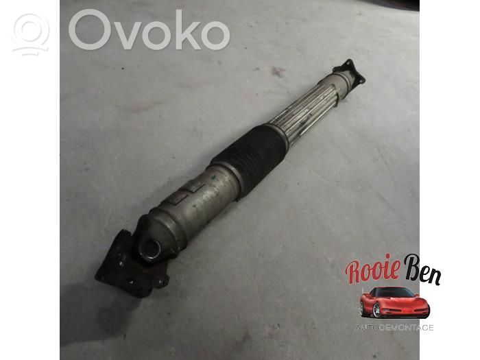 Drive shaft (set)