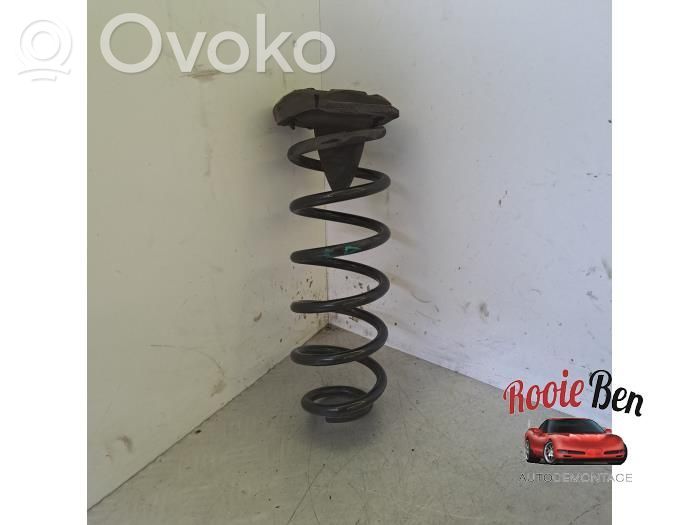 Rear coil spring