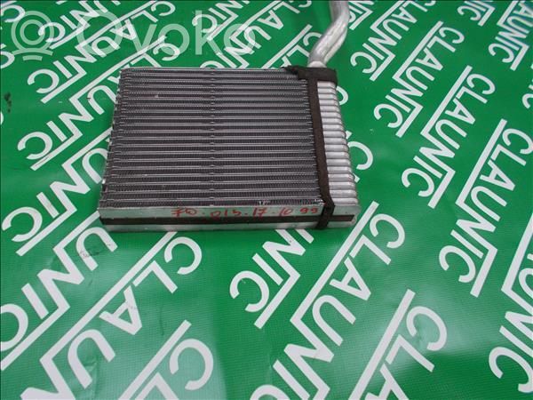 Pečiuko radiatorius   FO013171099,VP3M5H
