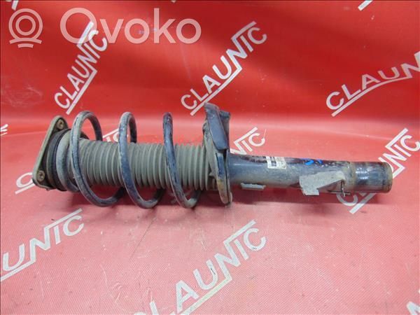 Front shock absorber with coil spring