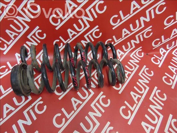 Rear coil spring