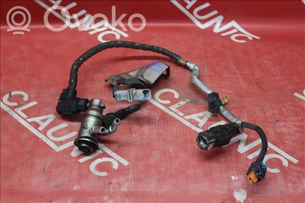 Nissan Qashqai inyector FAP