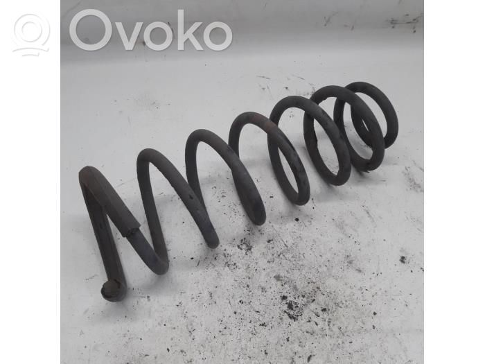 Rear shock absorber with coil spring