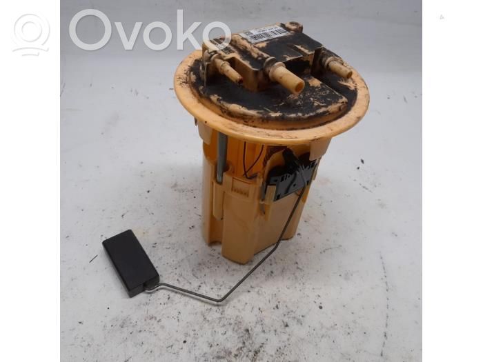 Peugeot 207 In-tank fuel pump 