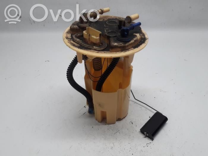 Citroen C3 Polttoainesäiliön pumppu 