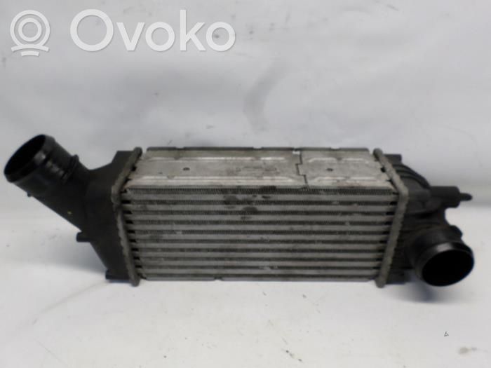 Interkūlerio radiatorius   9646694680,IA1319,874824K,5Q0971068CX,874824K,874824KJ,8V0927902G,9646694680,IA1319,IA1422