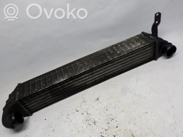 Seat Alhambra (Mk1) Intercooler radiator 
