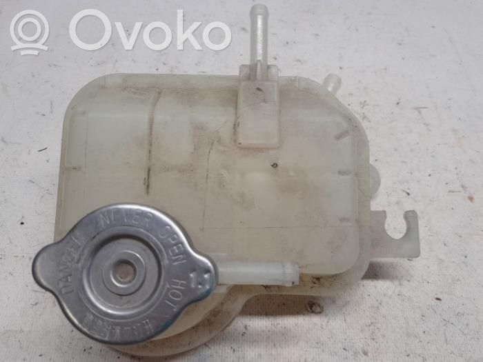Dacia Spring Korek zbiornika wyrównawczego chłodziwa 