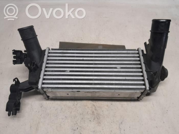 Interkūlerio radiatorius   H1BG6K775AC,MM11990,IA2125,0390243111,2079506,2163154,2542920,GN1517504AF,GN1517504AG,GN1517566AB,H1BG6K775AC,H1BT11000BB,IA2125,MM11990,S4955P0649