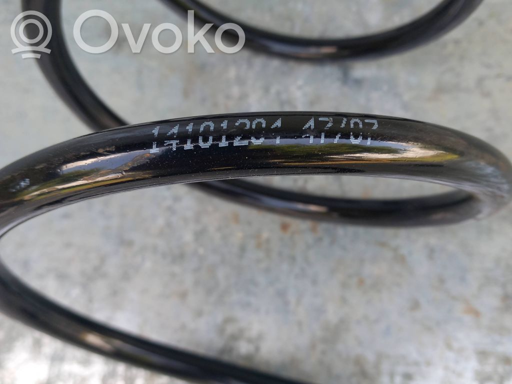 Front coil spring   14101204,31331090763,31331090762,31331090760,31331090761