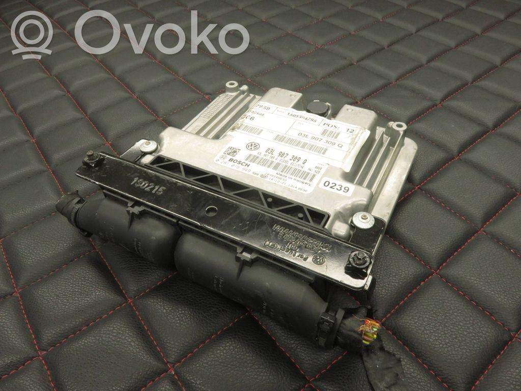 Volkswagen Sharan Engine control unit/module 