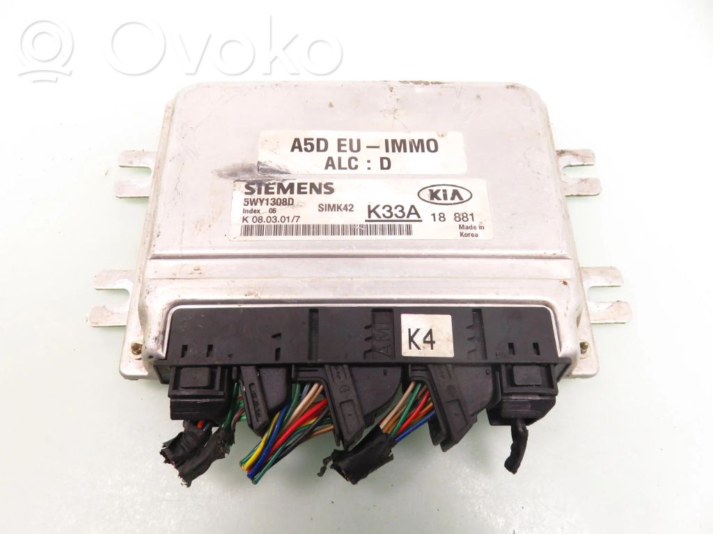 Engine control unit/module   K33A18881,5WY1308D