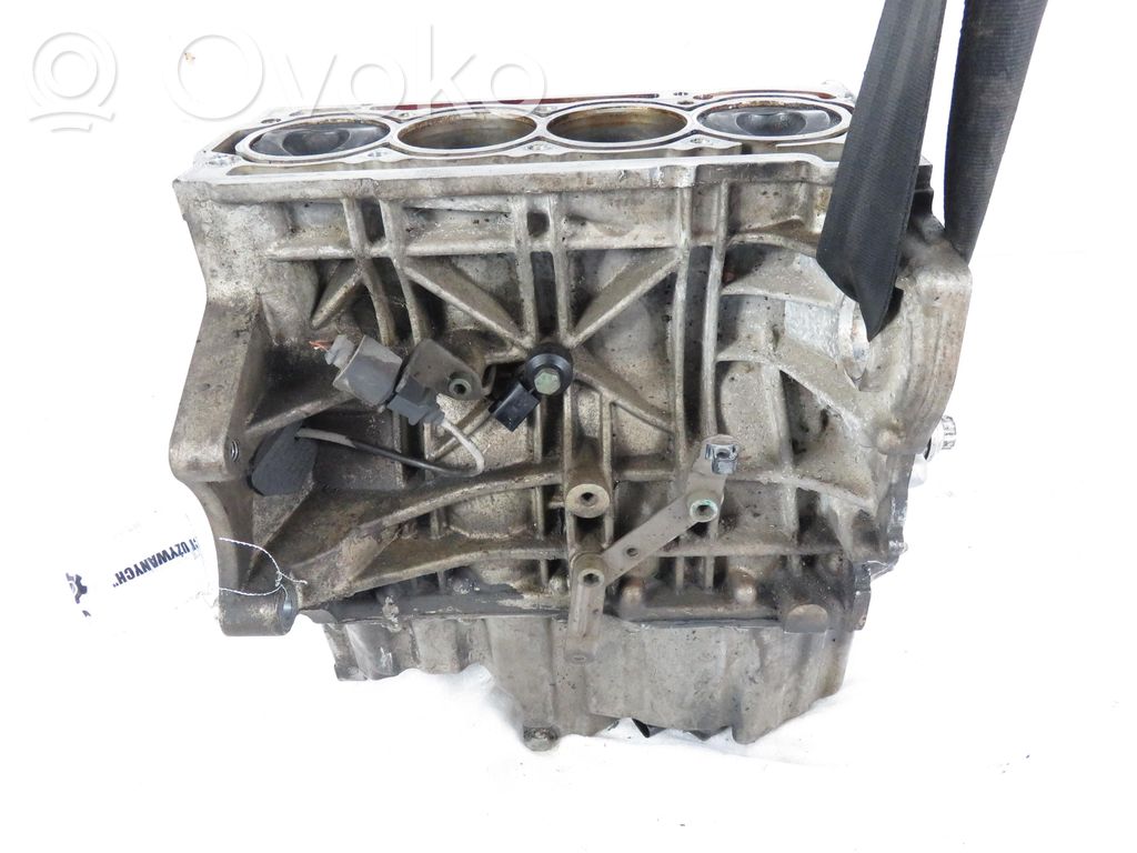 Volkswagen Polo IV 9N3 Bloque de motor 