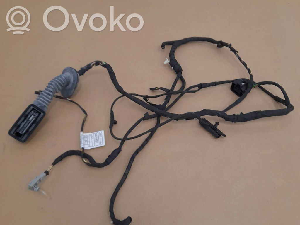 BMW 3 GT F34 Rear door wiring loom 