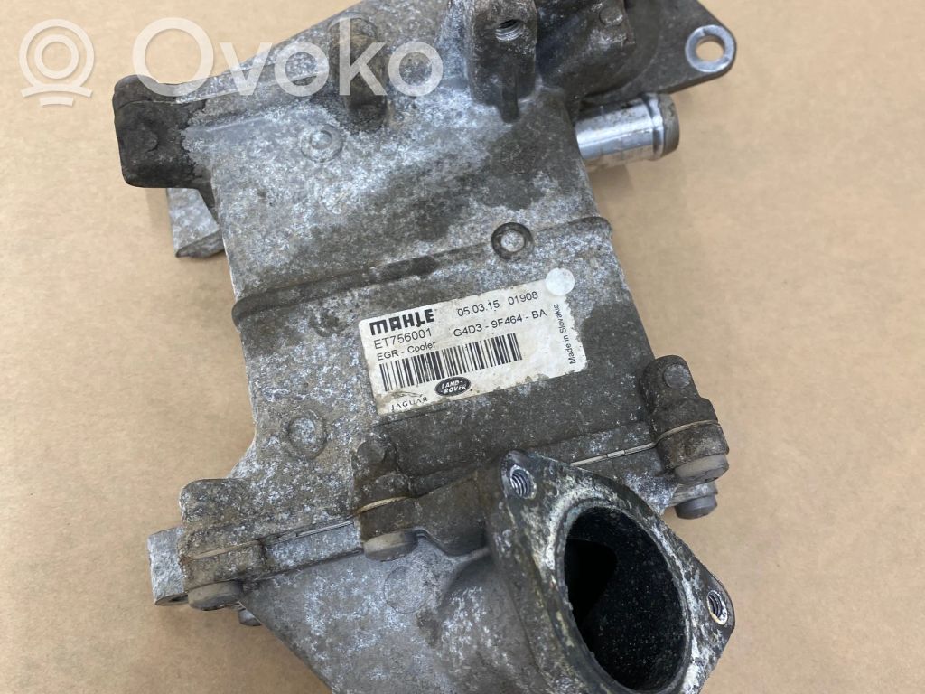 Land Rover Evoque I EGR aušintuvas 