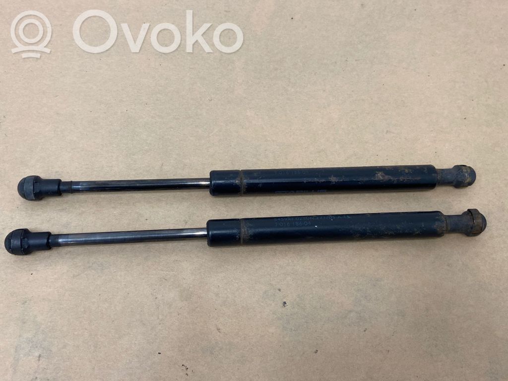 Tailgate/trunk strut/damper   7016186,5459RF0250M