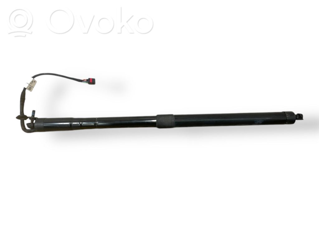 Tailgate strut   937917251,060116