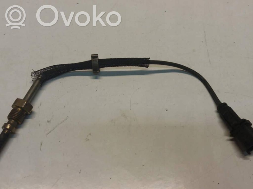 Abgastemperatursensor   55355404
