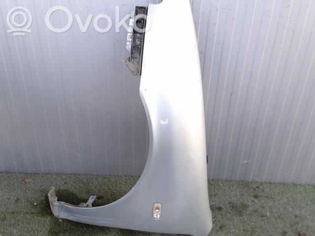 Guardabarro   1M0821021