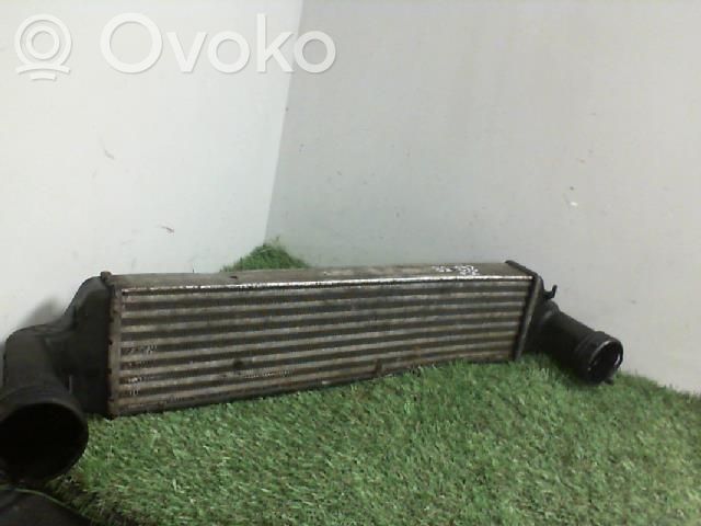 Intercooler radiator   17517793370