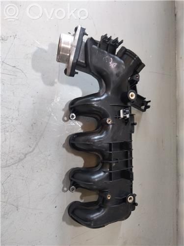 Peugeot Expert Kolektorius įsiurbimo 