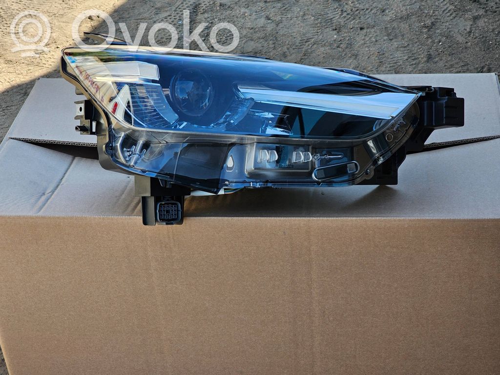 Headlight/headlamp   D10E51030