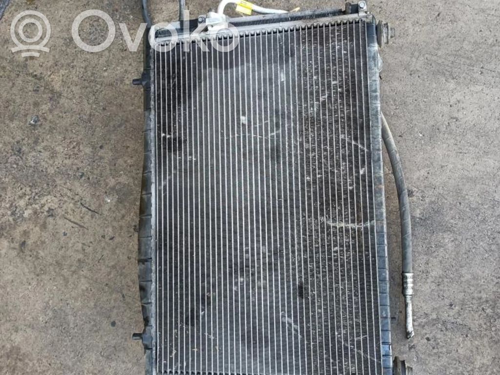 Panel lateral delantero   614719