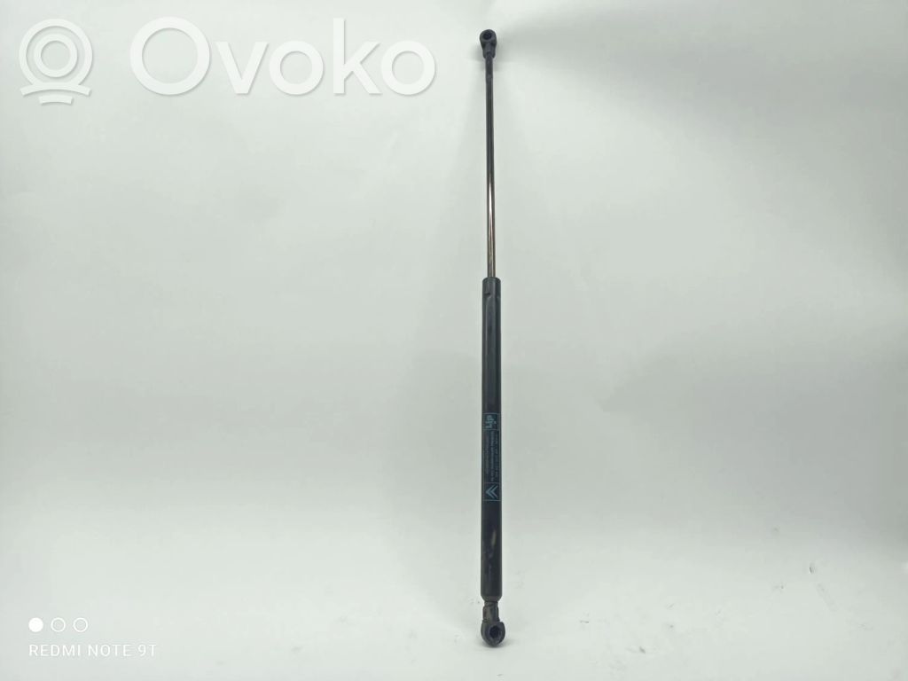 Tailgate/trunk strut/damper
