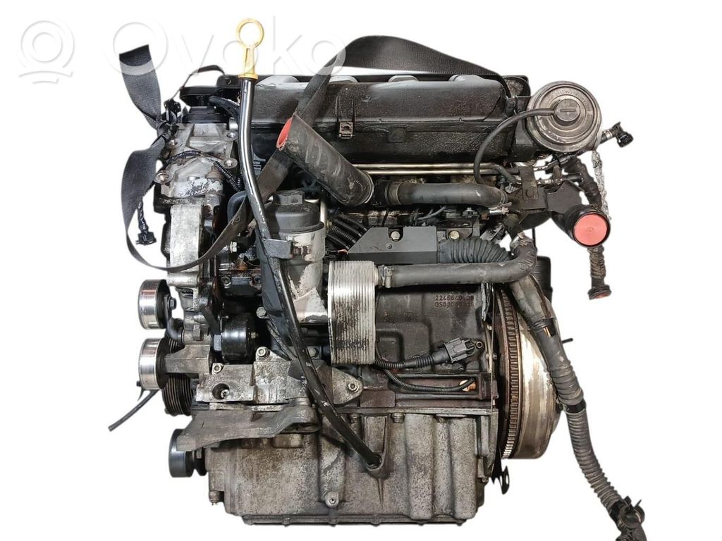 Engine   204D3
