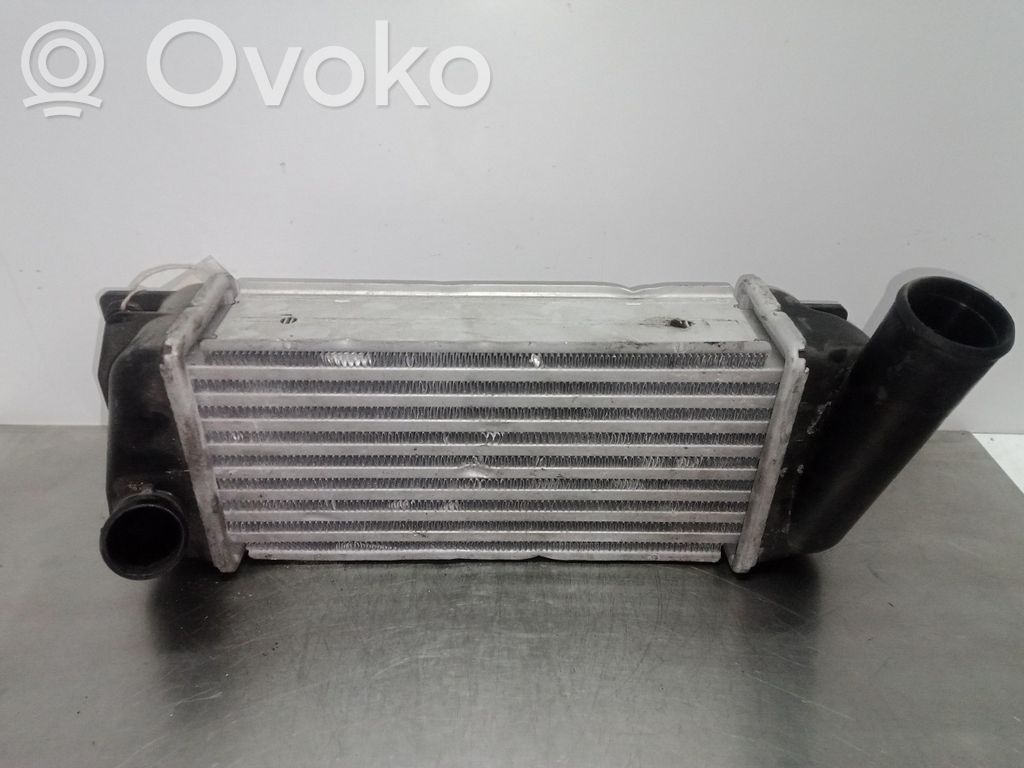 Interkūlerio radiatorius   JD1271004210