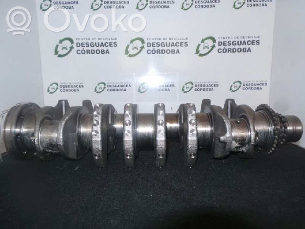 Kampiakseli   70AA40HT