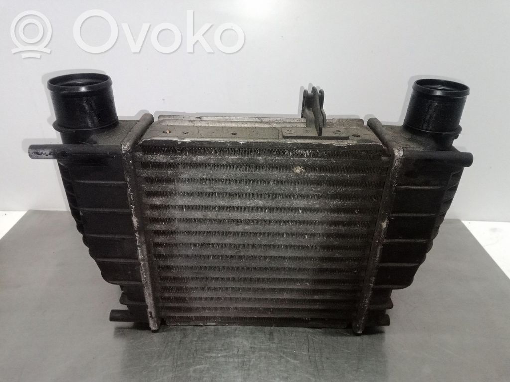 Interkūlerio radiatorius   8200471885880590X