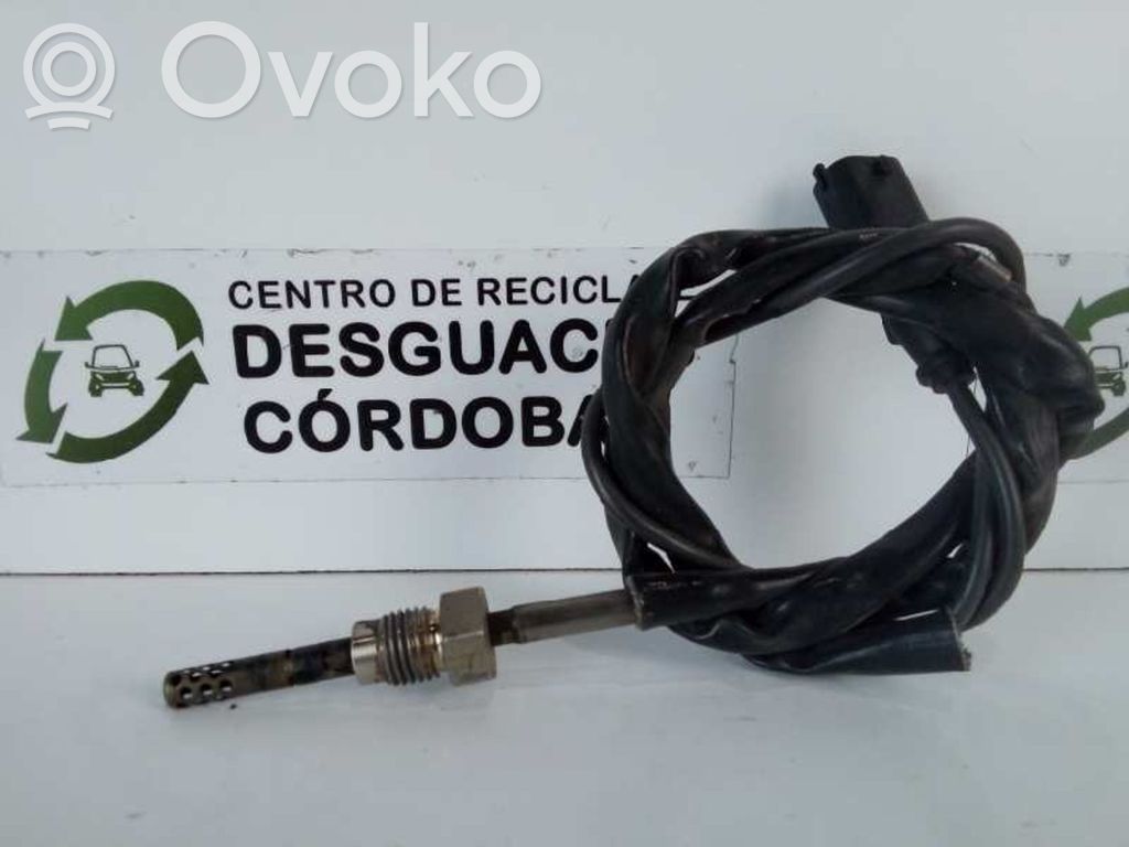Lambda probe sensor   55557662,2CABLES